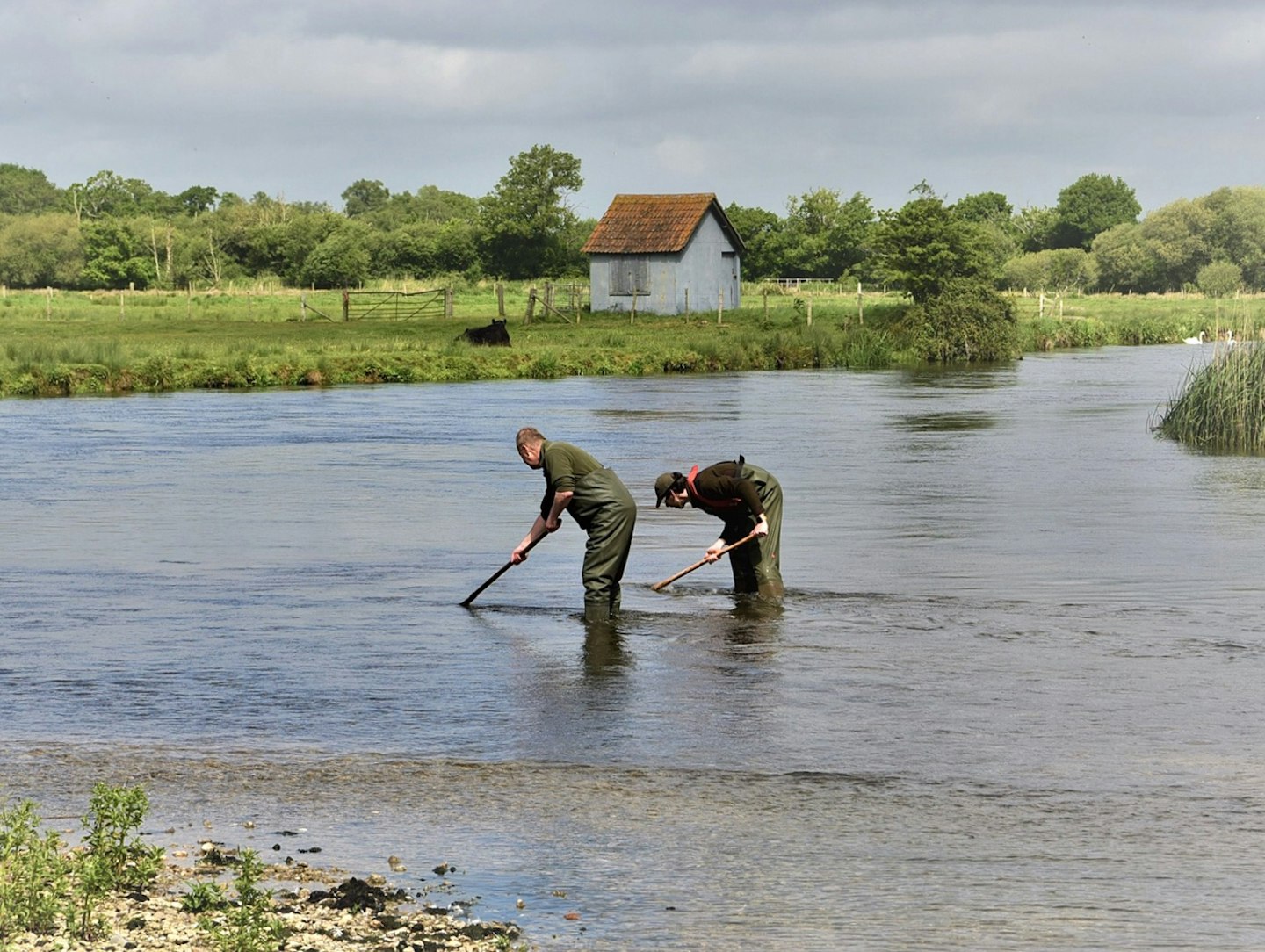 Avon barbel project begins! | Angling Times