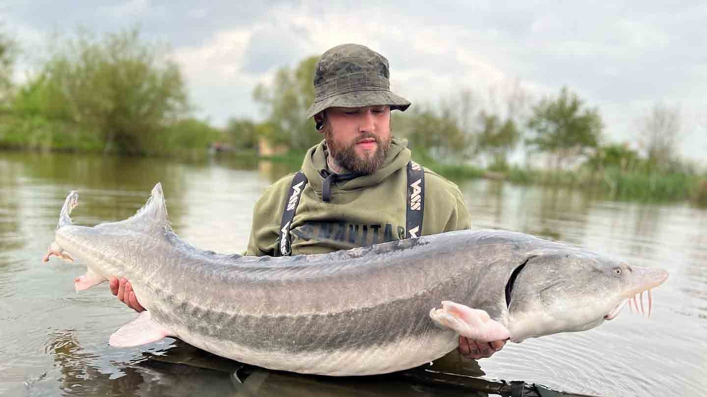 Monster sturgeon finally landed after three year quest – Tom Baddeley