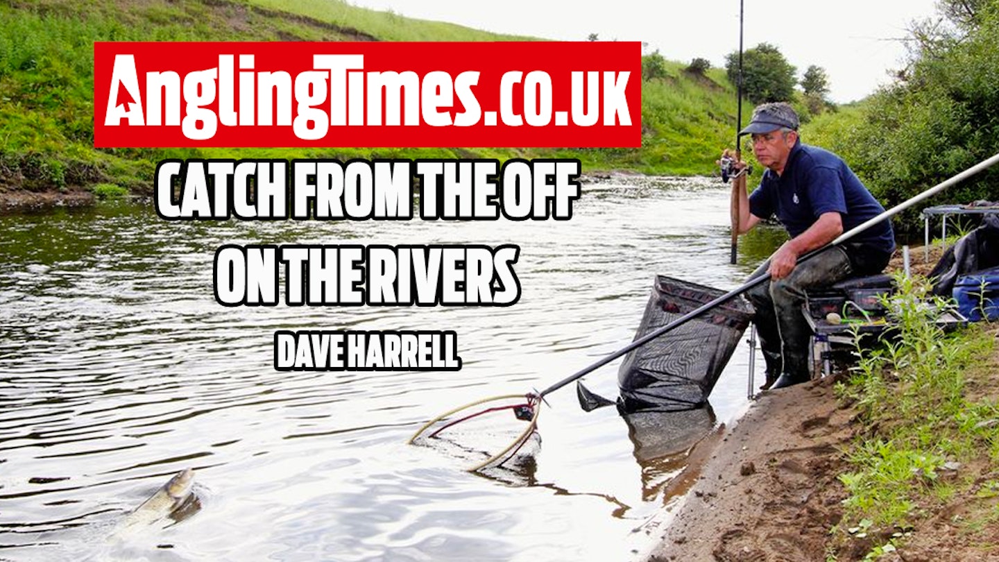 How to tackle early-season rivers – Dave Harrell