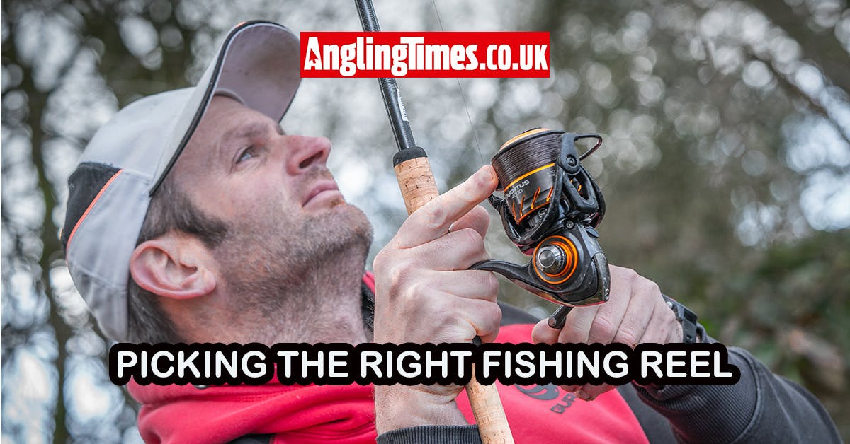 How to Choose the Right Reel for Fishing