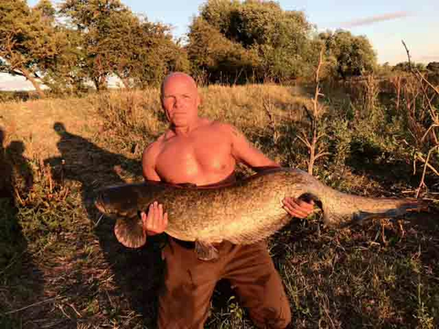 Angler banks one of the biggest-ever lure-caught catfish from UK waters