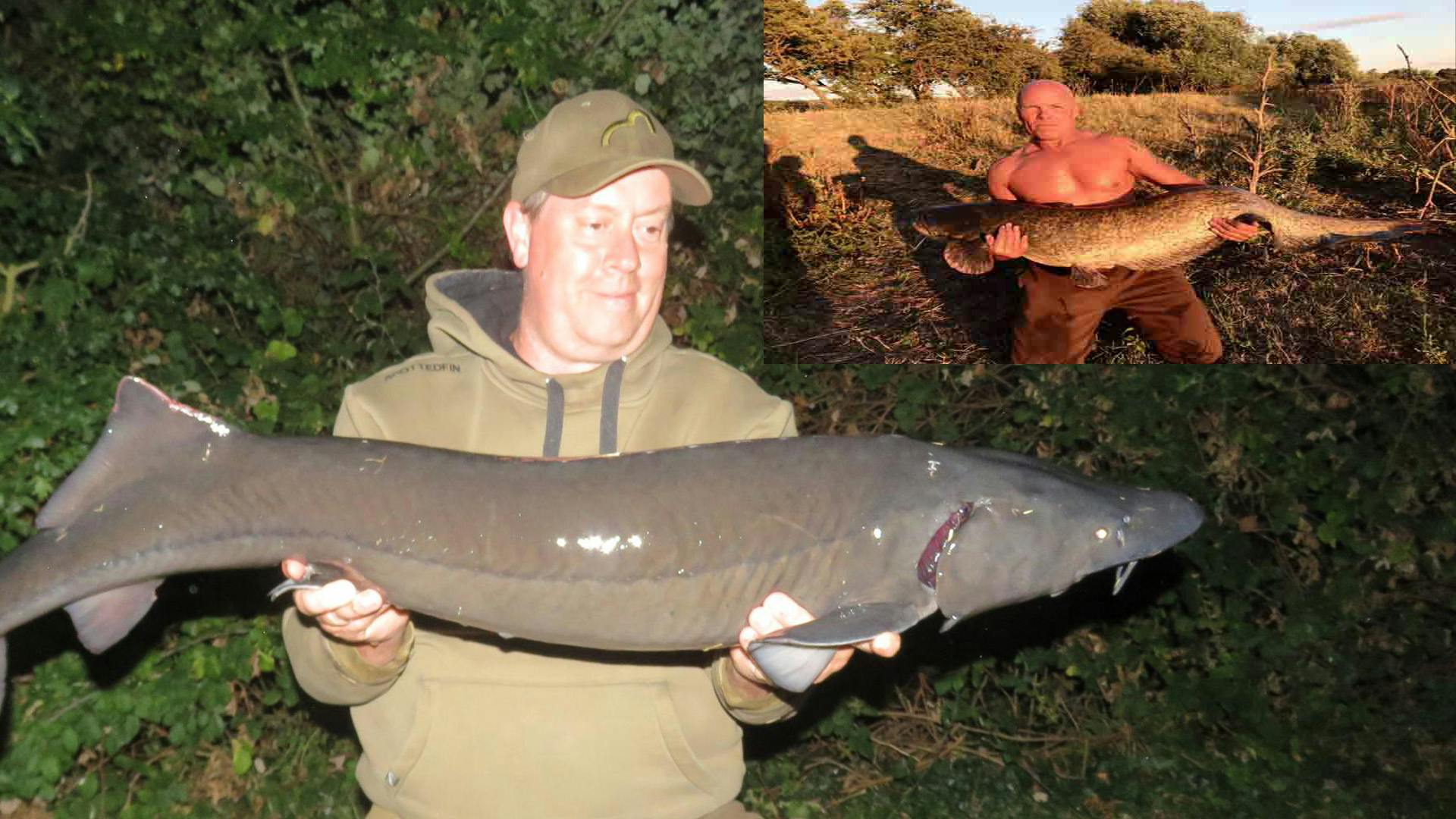 Will Trent visual data 8