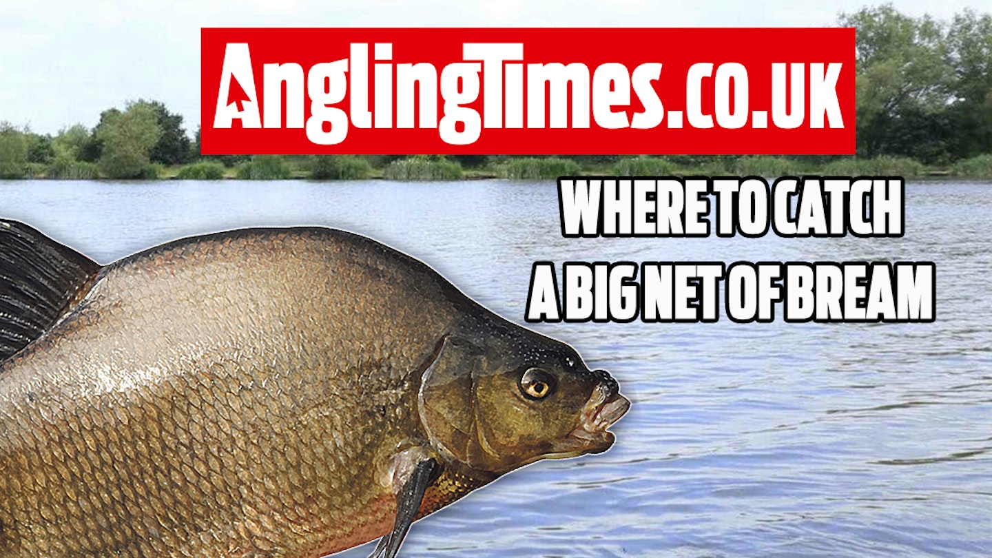 Fishing near me: Best spots to bag a big weight of bream