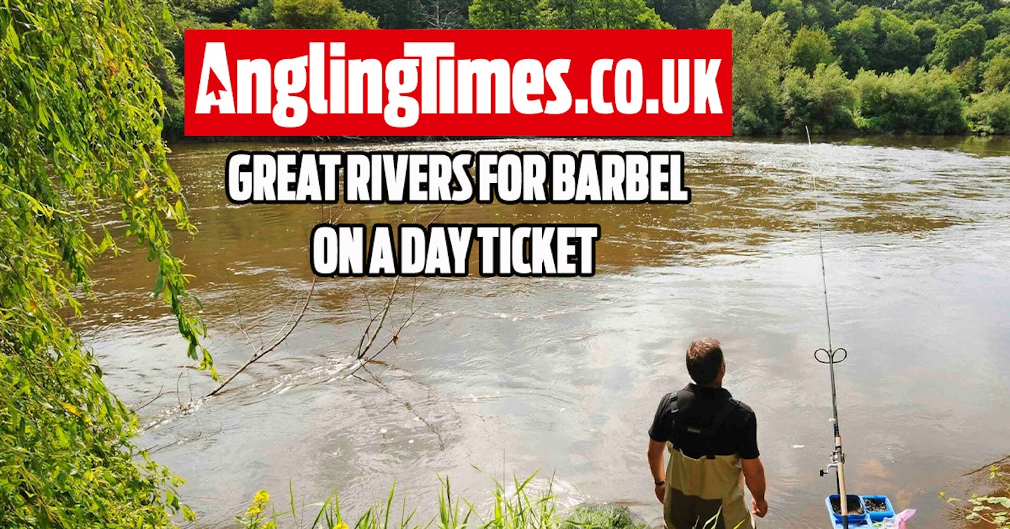 Fishing near me: Great river stretches for barbel fishing on a day ticket