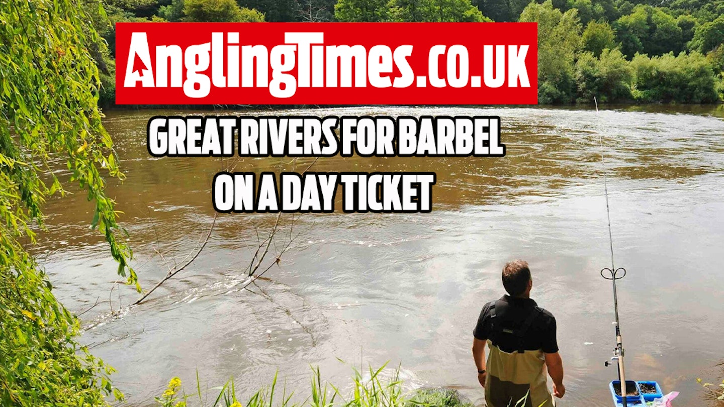 Fishing near me: Great river stretches for barbel fishing on a day ticket