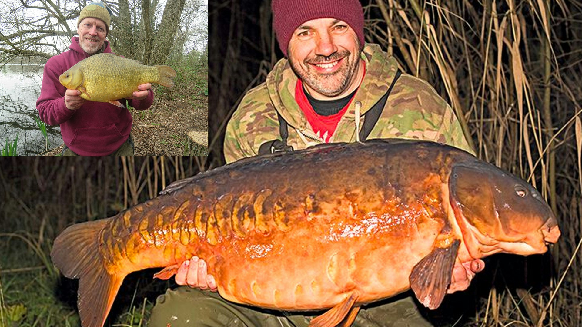 Why do fish vary so greatly in size? | Angling Times