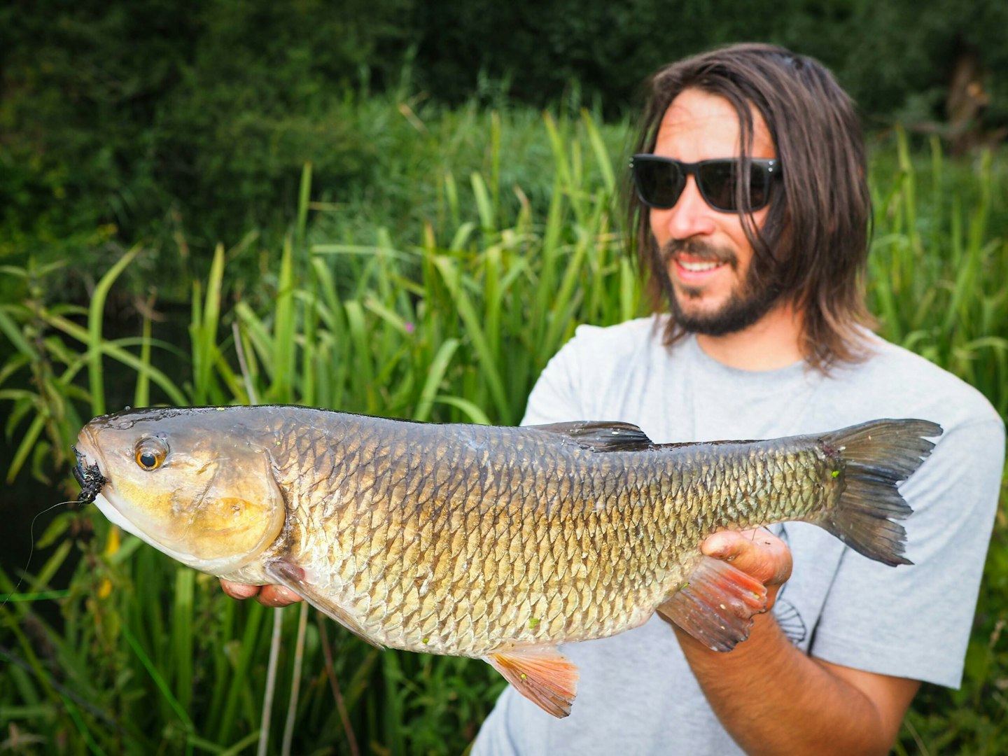 Switching from lures to flies has transformed my late summer chub fishing”  – Robbie Northman