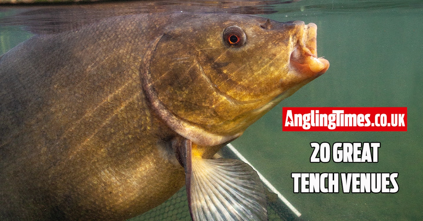 20 Great Tench Venues!