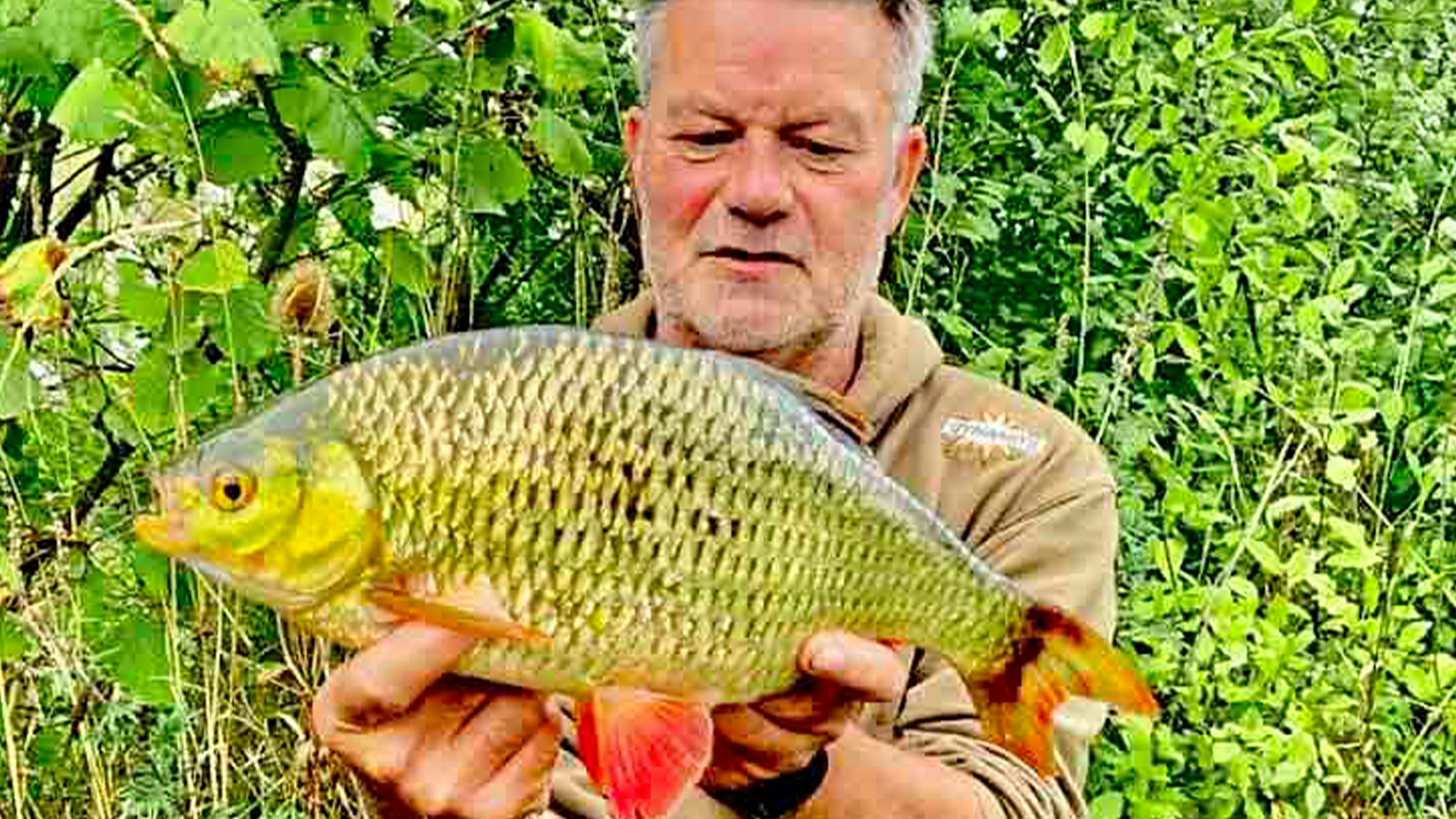 Common Rudd World Record HUGE Yorkshire rudd banked | Angling Times