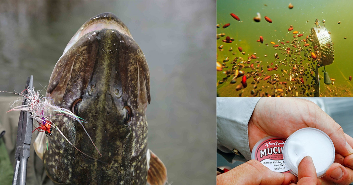 10 ANGLERS' ESSENTIALS TO FORGET AT YOUR PERIL!