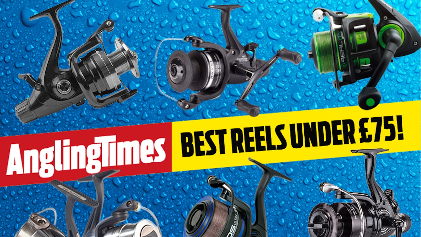 The best reels for under £75