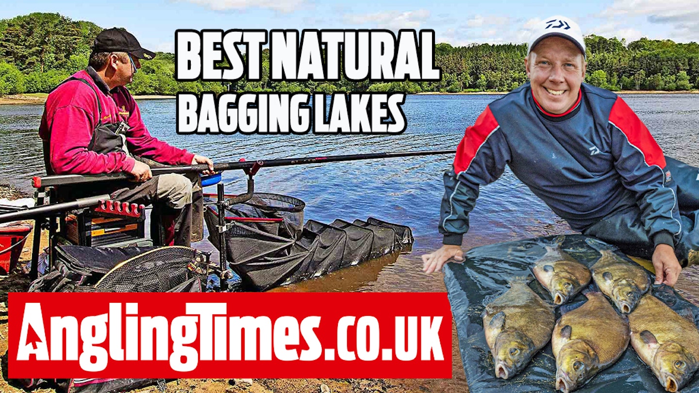 Fishing near me: The best autumn natural bagging waters