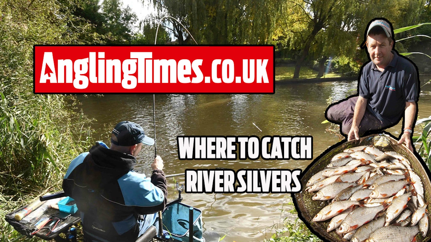 Fishing near me: 10 rivers where you can catch big nets of silvers