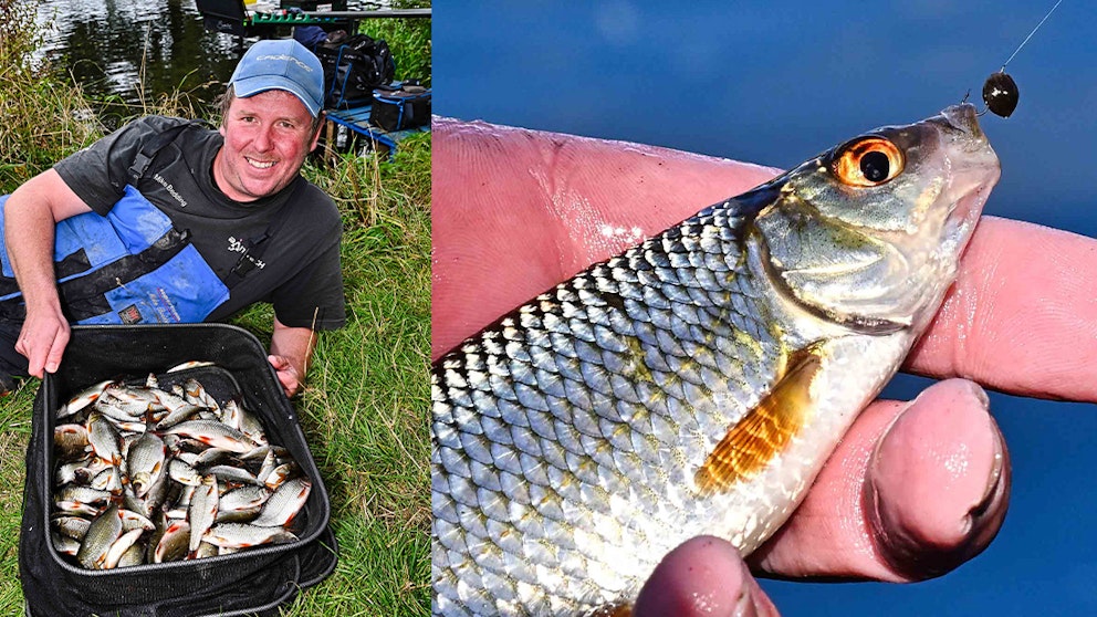 Mastering Roach Fishing with Hemp: Essential Tips and Techniques