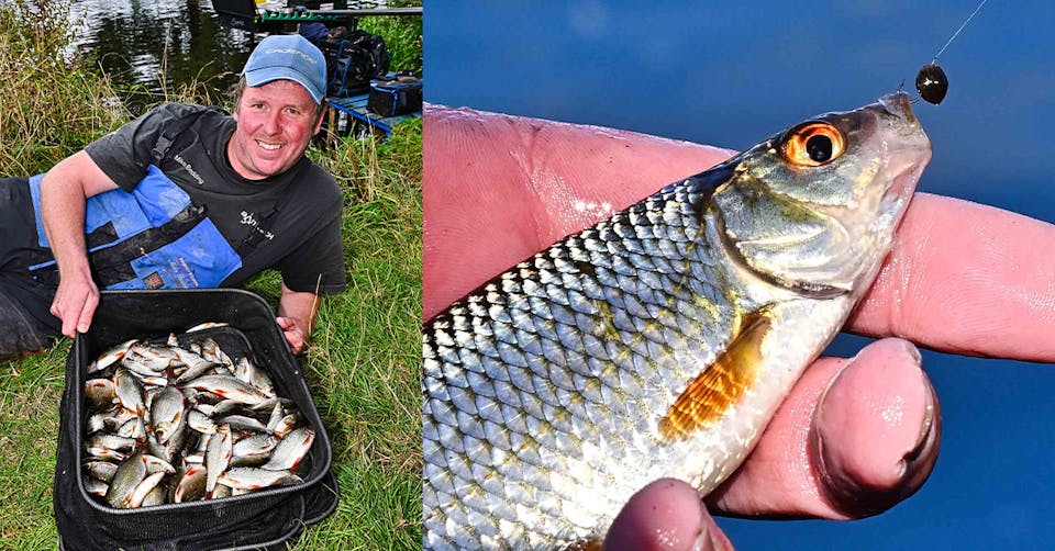 How to fish a hemp line for roach | Angling Times