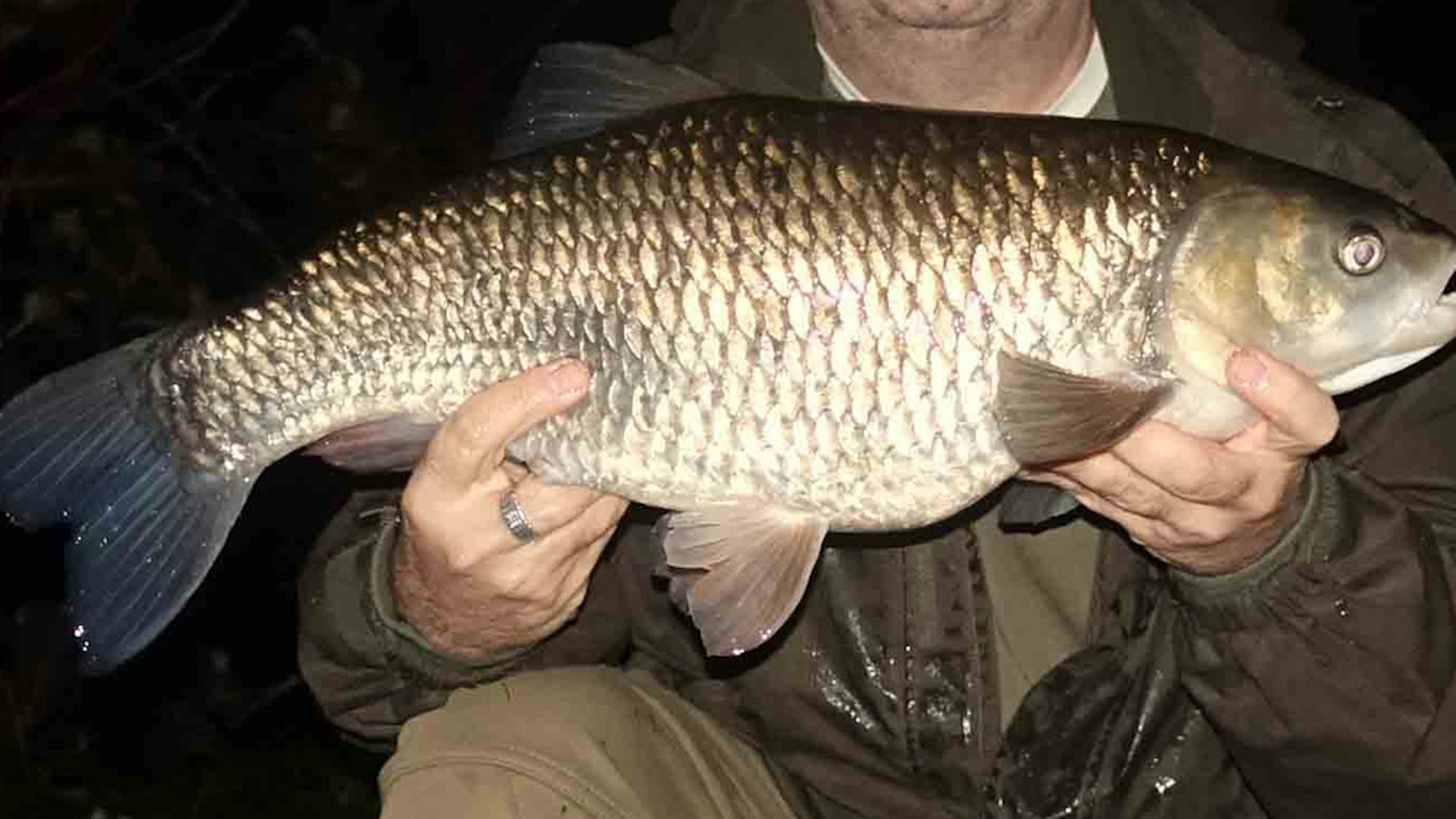 Bread tempts chunky Lea seven-pounder
