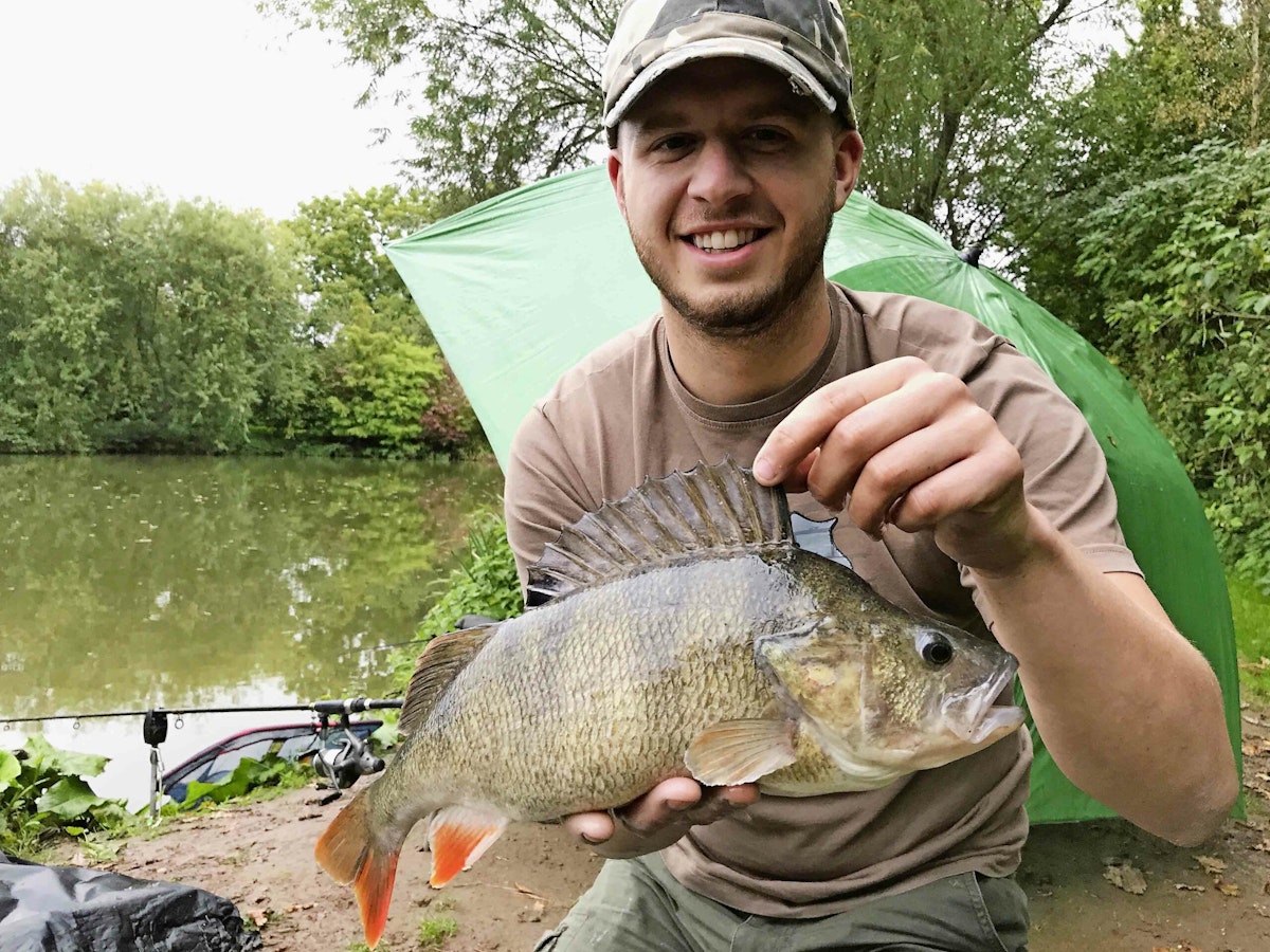 Fishing Near Me The Best Venues for Monster Perch Angling Times