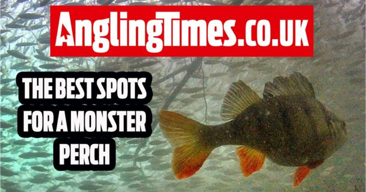 Fishing Near Me: The Best Venues for Monster Perch