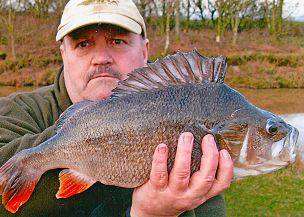 Fishing Near Me The Best Venues for Monster Perch Angling Times