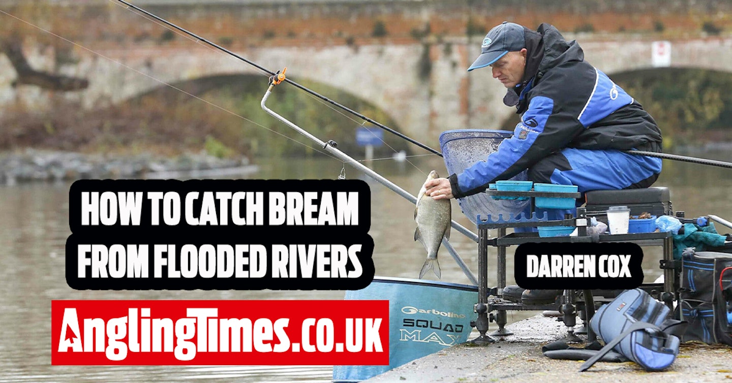 How to fish coloured rivers for bream | Darren Cox