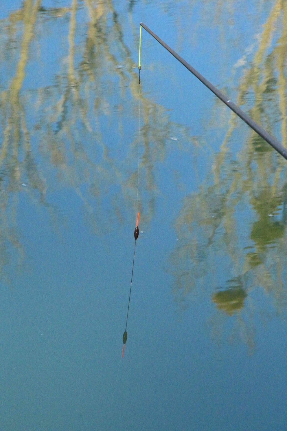 6 tips for catching chub from commercials Angling Times