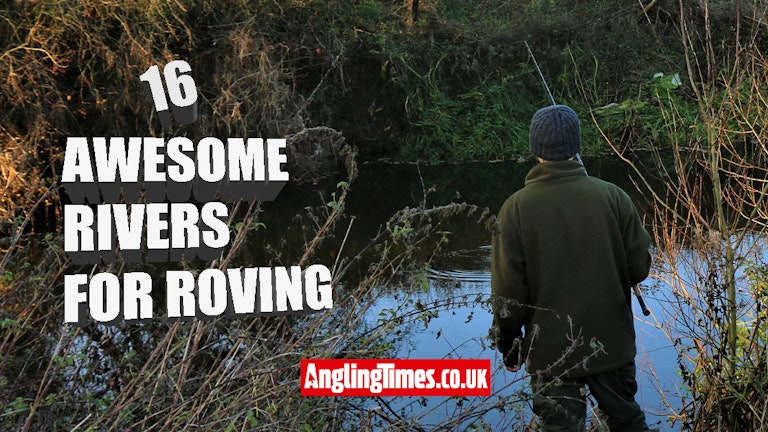 16 Great river stretches for roving | Angling Times