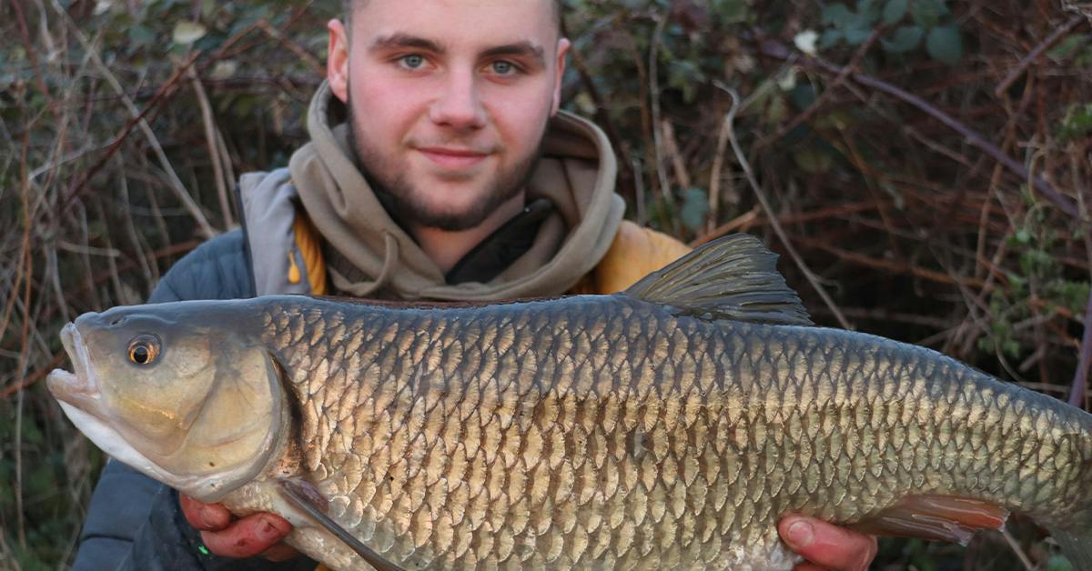 Monster Stour chub falls to single maggot