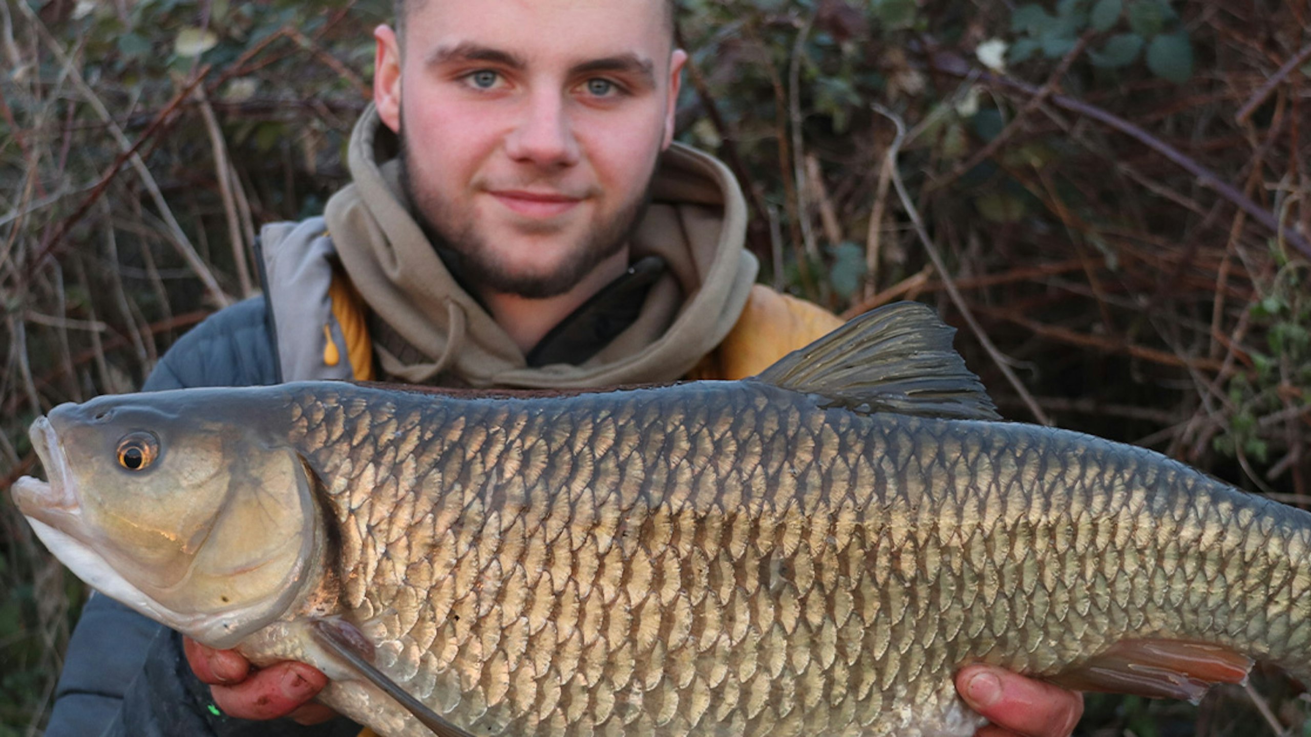 Monster Stour chub falls to single maggot