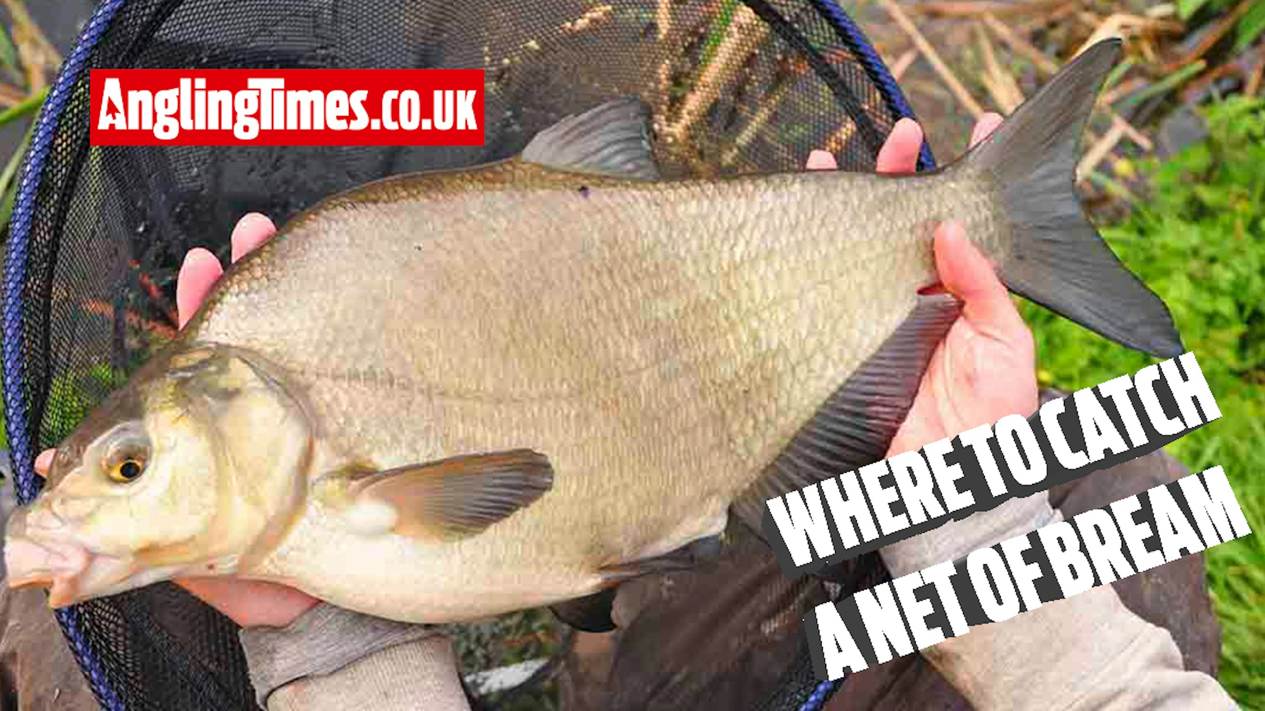 10 Great Commercials for a NET OF BREAM!
