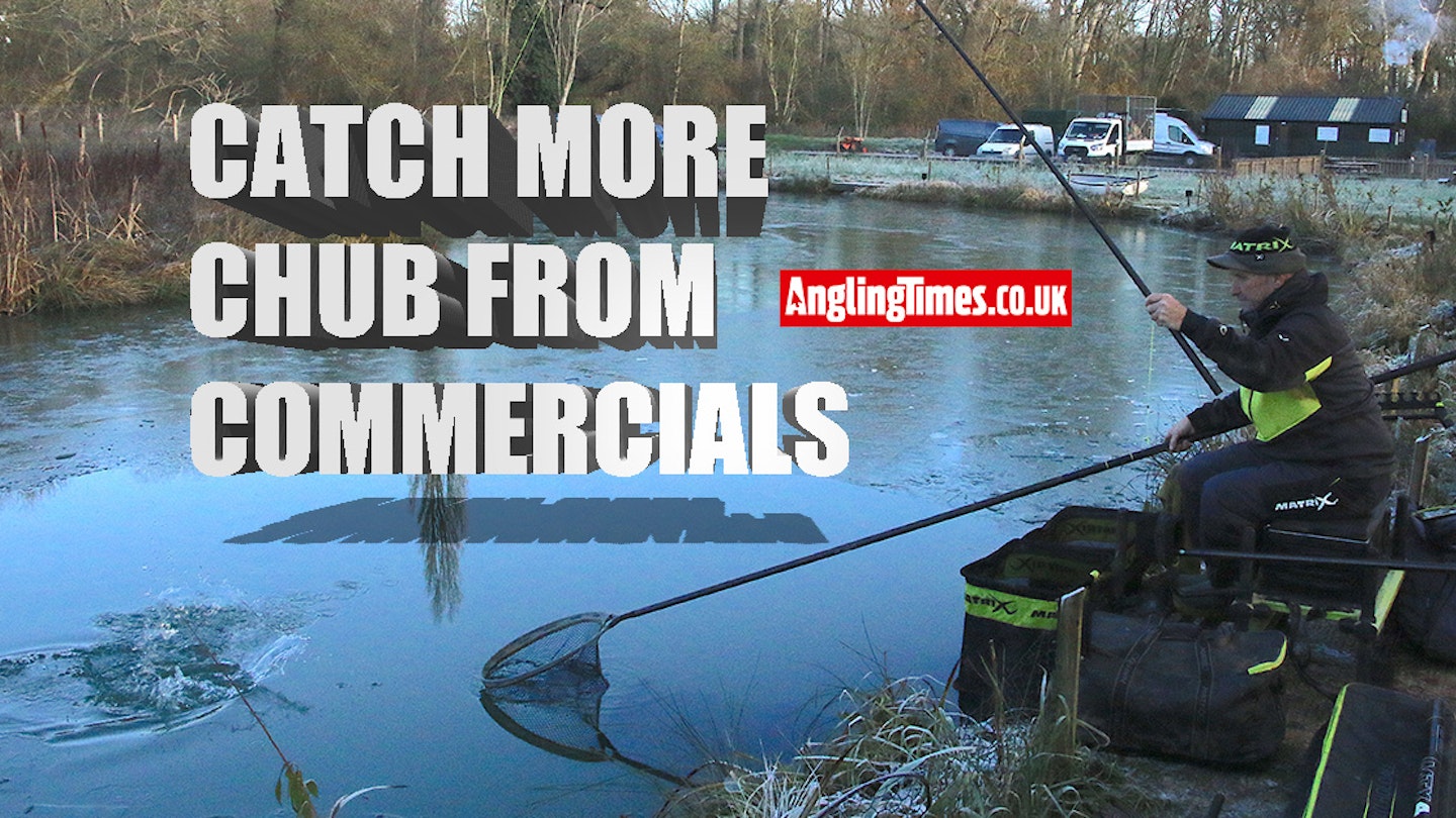 6 tips for catching chub from commercials