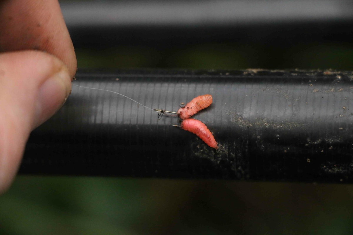 How to fish town centre stretches for silvers Angling Times