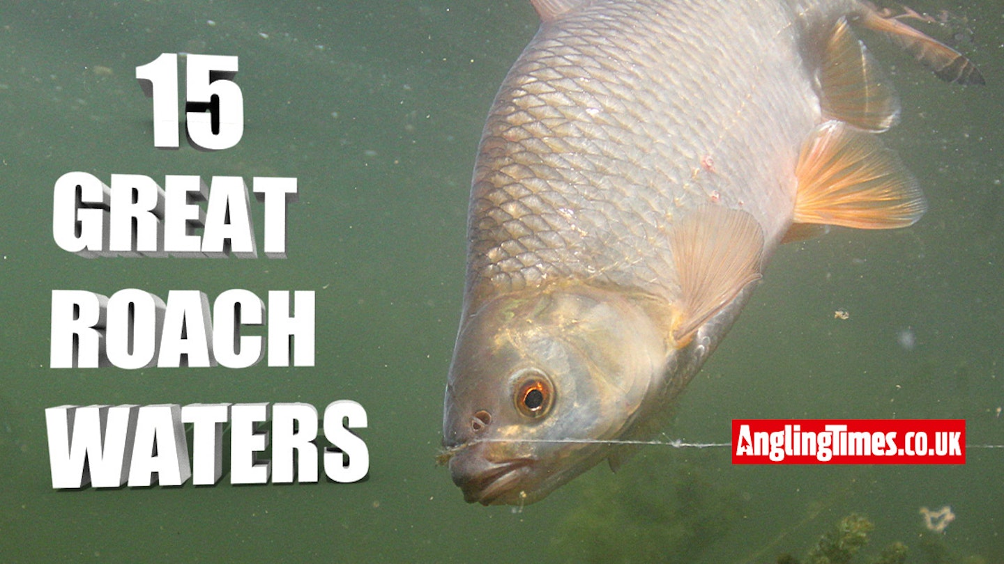 15 Awesome venues for roach fishing – including rivers, stillwaters and canals!