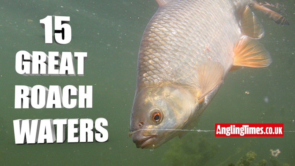 15 Awesome venues for roach fishing – including rivers, stillwaters and ...