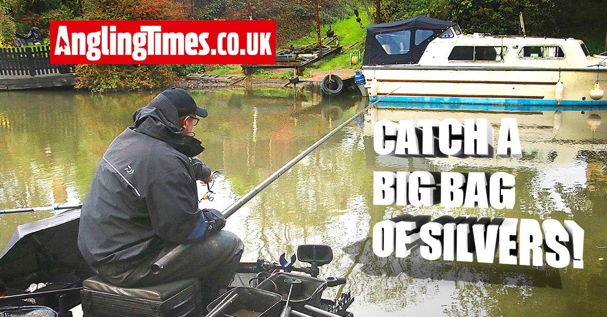 How to fish town centre stretches for silvers Angling Times