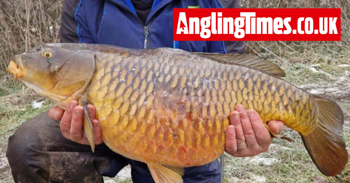Huge CANAL CARP banked on tiny hook in ice cold match