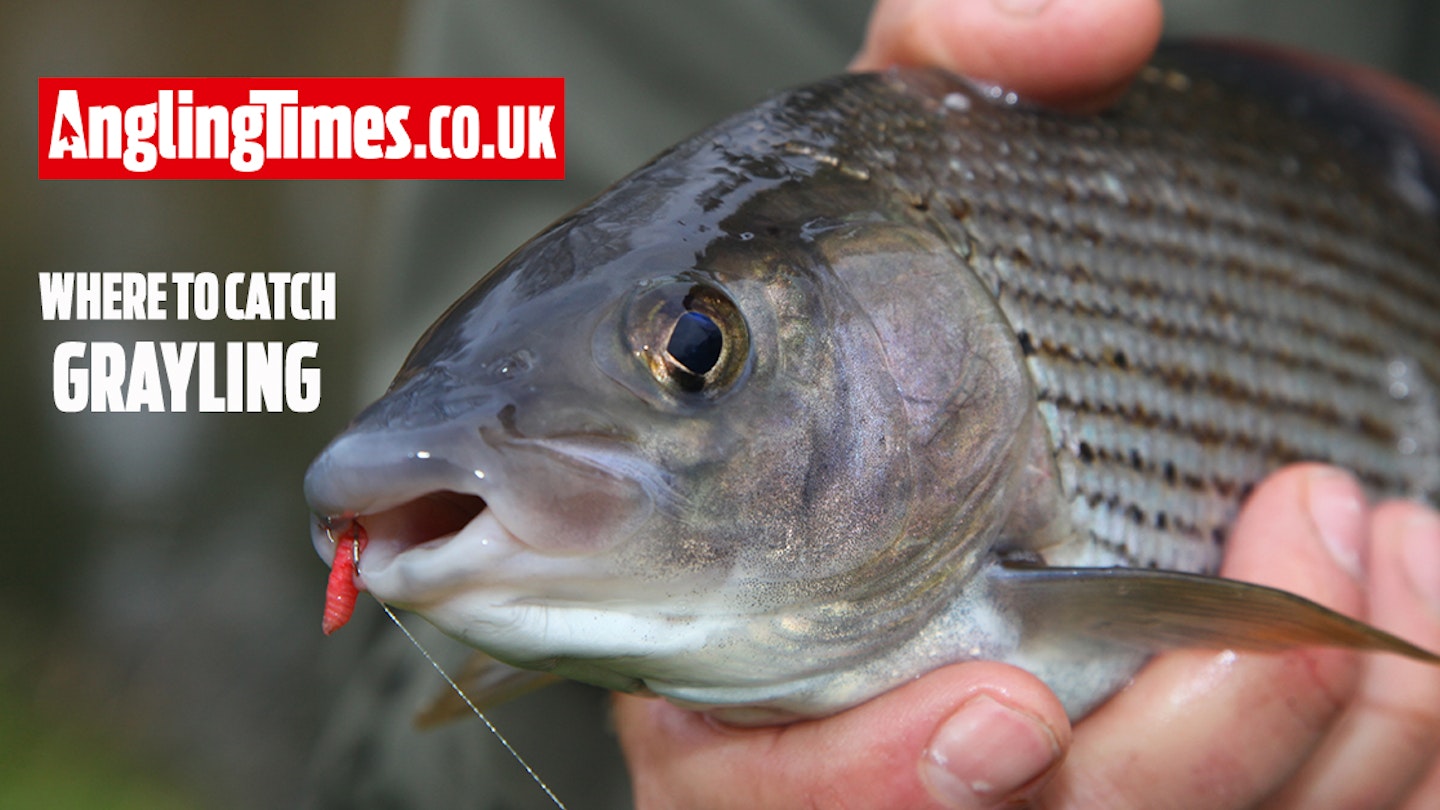 Where to fish for grayling