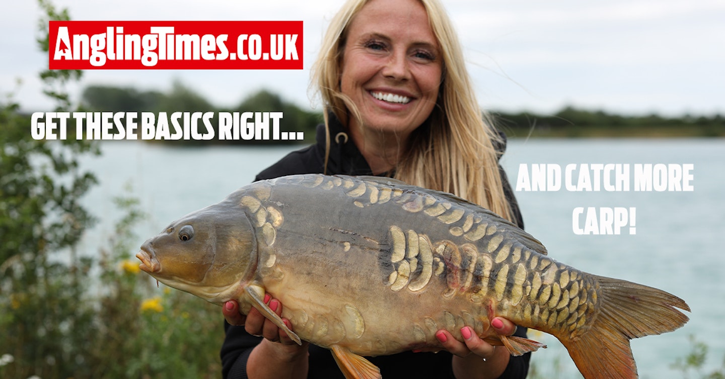 Basic carp fishing tips that you need to catch on every trip – Bev