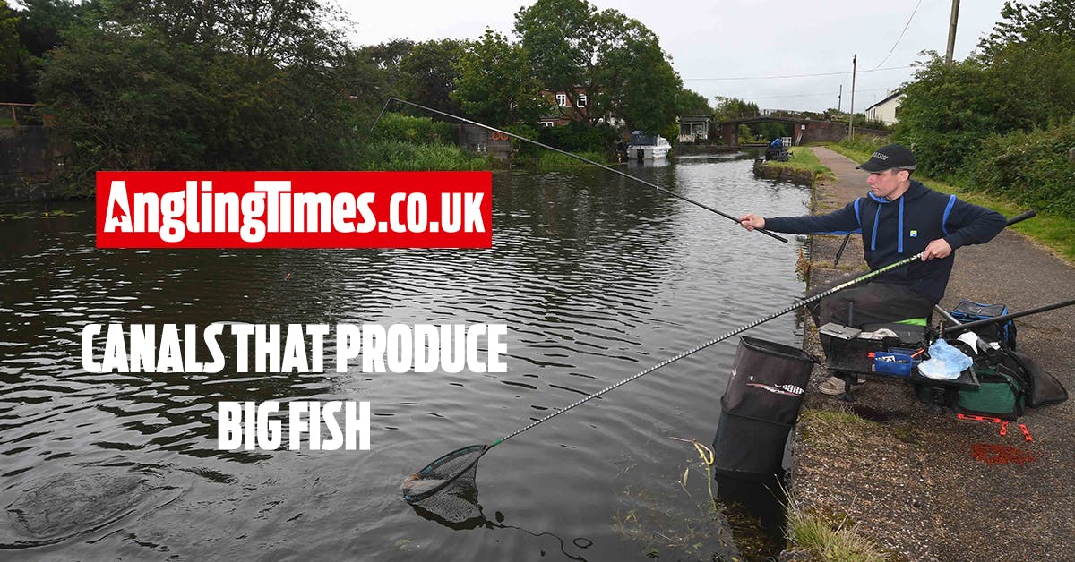 10 Canals where you can catch big bonus fish Angling Times