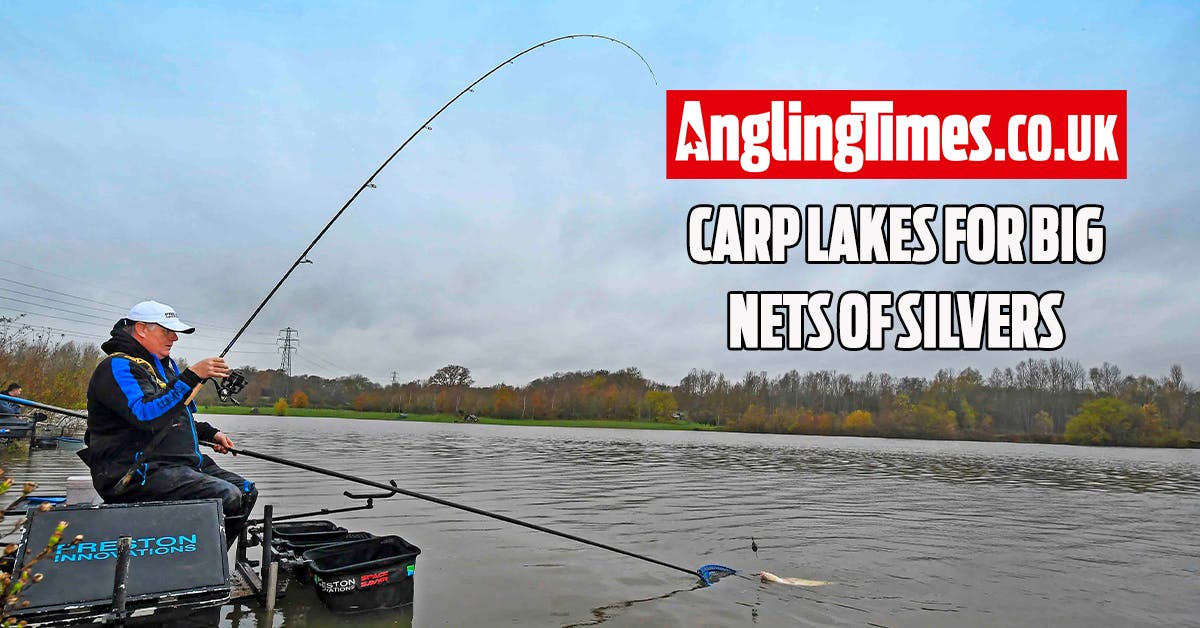 Carp lakes for good nets of silverfish Angling Times