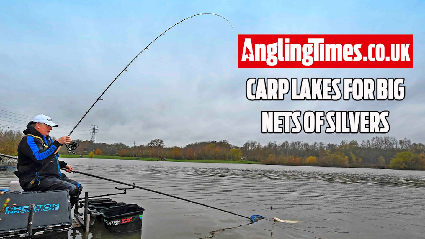 Carp lakes for good nets of silverfish