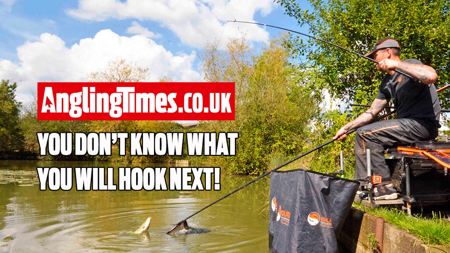 UK fishing lakes where you will catch a mix of species