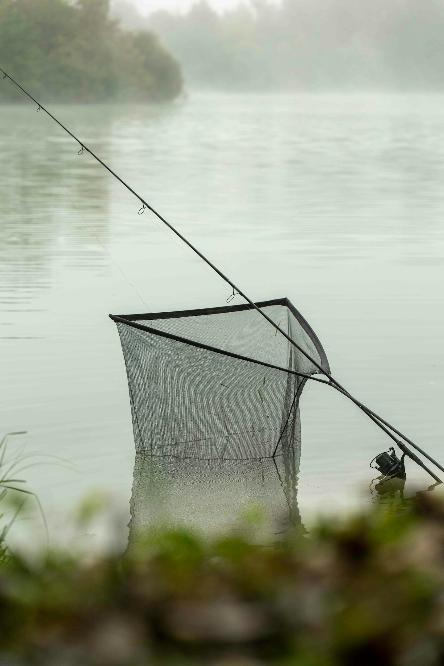 get your prebaiting right and you'll have loads of shots like this
