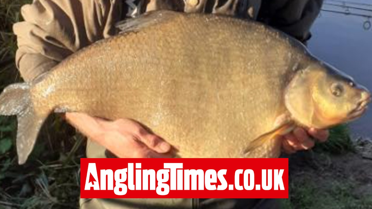 136 nights of fishing rewarded with monster 20lb-plus bream