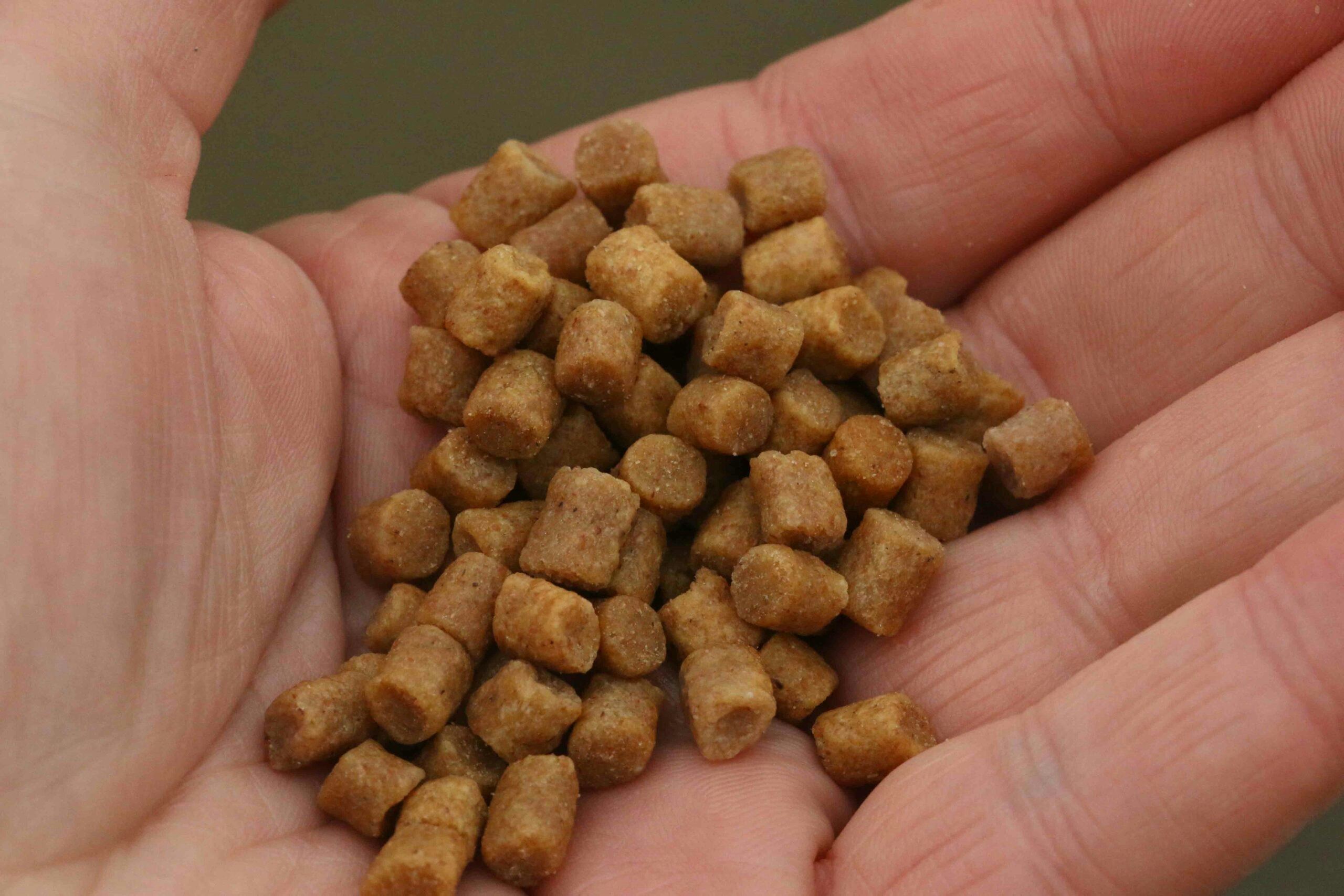 Pellets have transformed the bait choices of many anglers.
