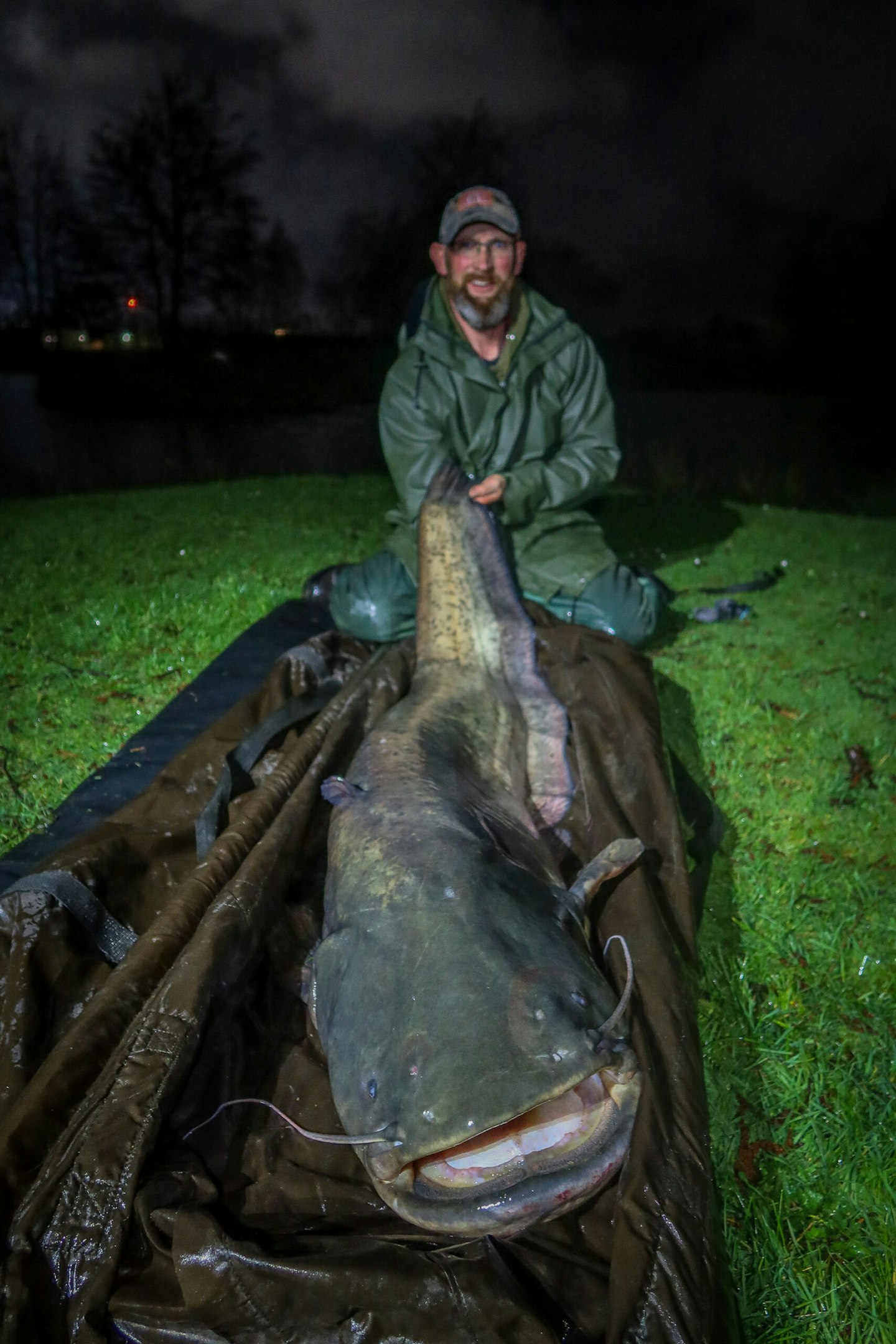 Monster catfish is the biggest-ever UK freshwater fish on the fly!