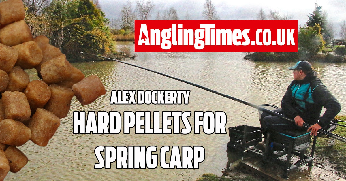 Spring fishing with hard pellets – Alex Dockerty