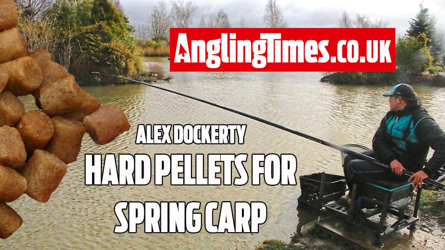Spring fishing with hard pellets - Alex Dockerty
