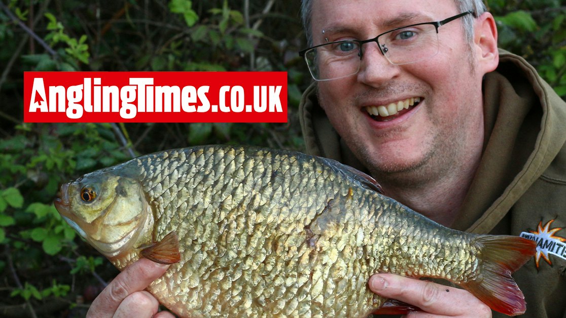 Rudd Large Mega rudd haul on yellow pop-ups | Angling Times
