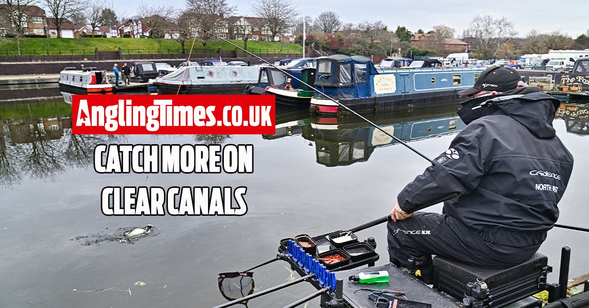 6 tips to catch fish on clear canals Angling Times