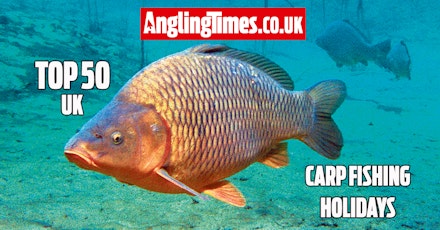 The 50 best UK carp fishing holiday lakes - Carp Fishing HoliDays Uk